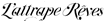 Black Logo